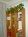 Wohnzimmer (88)